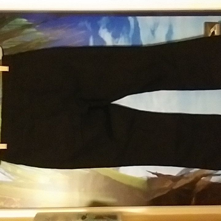 Universal Threads Pants